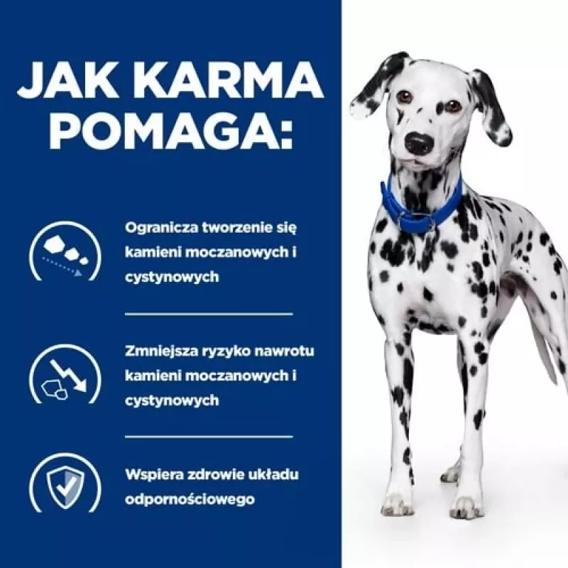 HILL'S Prescription Diet Urinary Care Original - Comida húmeda para perros - 370g