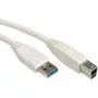 VALUE cable USB - USB Type-A (M) a USB Type-B (M)