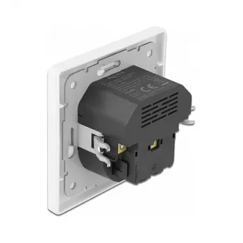 DeLOCK 11489 Toma CEE 7/3 + USB blanco 250V 16A