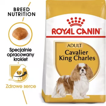 Comida seca para perros Royal Canin Cavalier King Charles Adult 1,5 kg — pollo, raza pequeña, piel y pelo, apoyo cardíaco