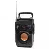 Squeak Bassblaster Altavoz Bluetooth 5.1, radio FM, reproductor MP3 SQ1001