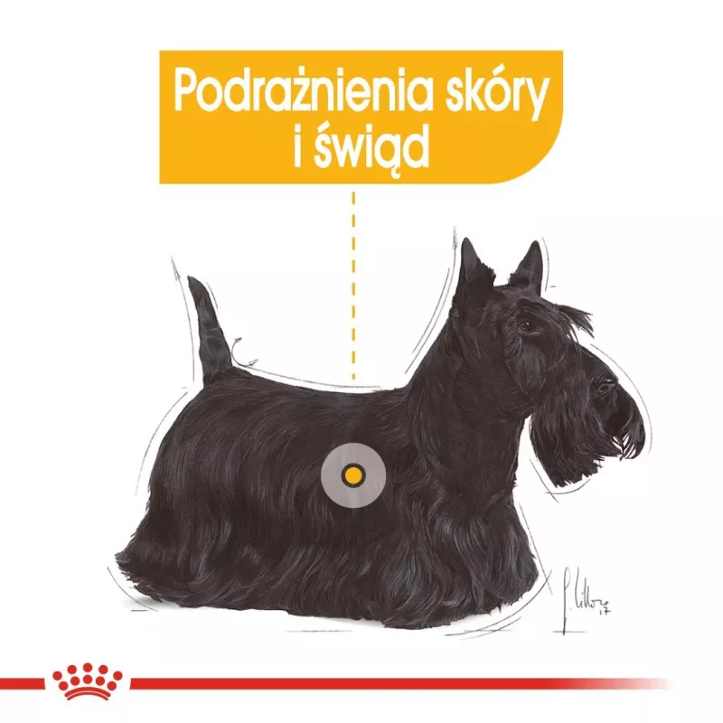 Royal Canin CCN Dermacomfort Loaf comida húmeda para perros, pack de 12 x 85 g