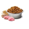 Farmina N&D Ancestral Grain Canine Adult Chicken comida para perros PND1500001, 15 kg