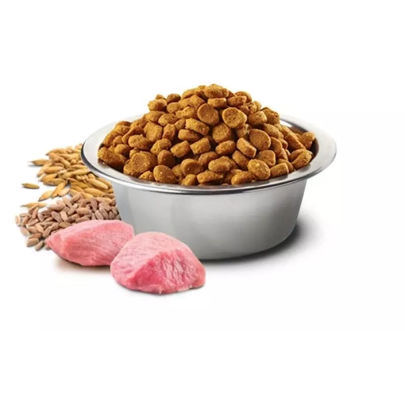 Farmina N&D Ancestral Grain Canine Adult Chicken comida para perros PND1500001, 15 kg