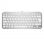 Teclado MX Keys Mini Mac Pale 920-010526 gris