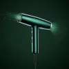 BaByliss Air Power Pro Secador de pelo 1700 W Oro, Verde