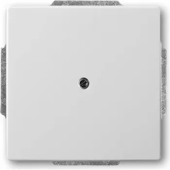 BUSCH JAEGER placa de cubierta central eds con soporte para salida de cable 1749-866