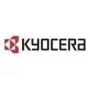 Kyocera IB-38 - Servidor de impresión - USB - para TASKalfa 2554Ci
