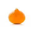 Semillas de hortalizas calabaza Uchiki Kuri Toraf, paquete de 5g