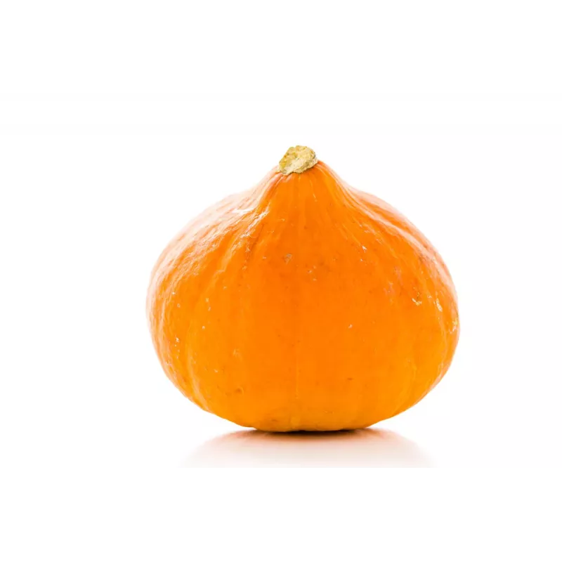 Semillas de hortalizas calabaza Uchiki Kuri Toraf, paquete de 5g