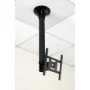 Soporte de techo para TV LCD VALUE 3 articulaciones