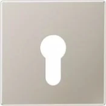 Jung Placa embellecedora acero inoxidable para interruptor de llave ES 2925 (ES2925)