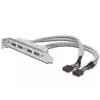 Cable con placa de ranura USB 2.0 HighSpeed Type 2xIDC (5pin)/4xUSB A M/H gris 0,25 m