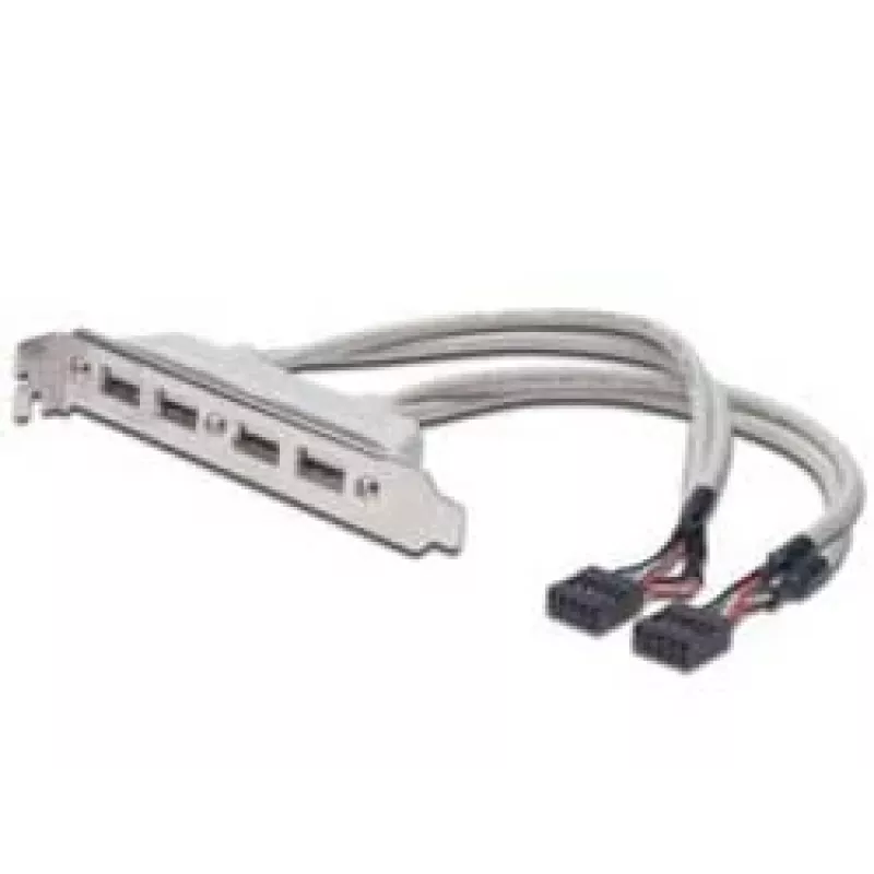 Cable con placa de ranura USB 2.0 HighSpeed Type 2xIDC (5pin)/4xUSB A M/H gris 0,25 m