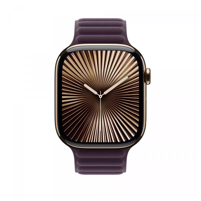 Apple Magnetic Link 46 mm Negro azabache – M/L