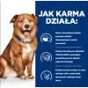 HILL'S Prescription Diet Derm Complete - pienso para perros - 1,5kg