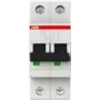 Interruptor automático 6kA 10A C 2p S202-C10 (2CDS252001R0104)