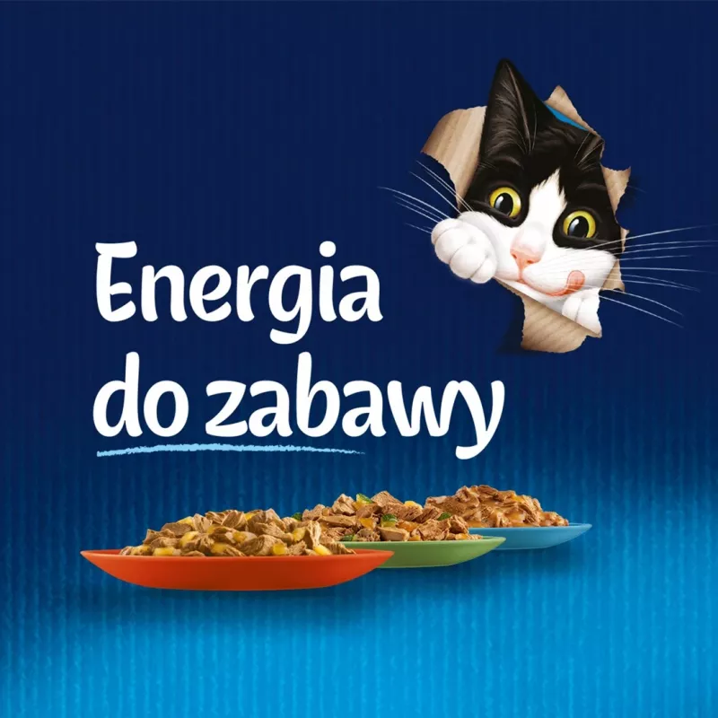Purina Felix Sensations Mix comida húmeda para gatos, 12 x 85 g, pavo, caballa, cordero, arenque