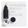 Asobu - Dog Bowl Buddy - Botella de acero inoxidable con 2 comederos negra