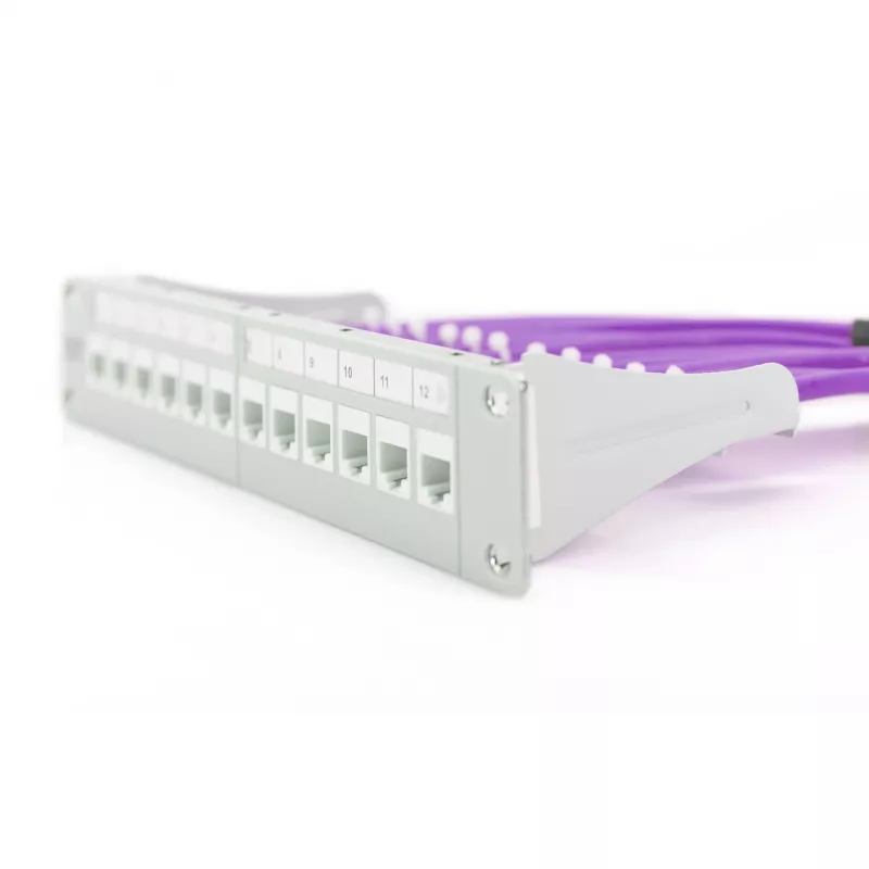 Cable de red Digitus Cat.6 U/UTP 305 m violeta