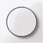 MERTEN placa central MEG5250-0319 termoplástico blanco polar con mando giratorio MEG52 MEG5250-0319 (MEG5250-0319)