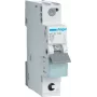 Hager MCS116. Corriente nominal: 16 A, frecuencia de entrada: 50/60, corriente nominal de salida: 16 A. Ancho: 17,5 mm, profundidad: 70 mm, altura: 83,4 mm (MCS116)