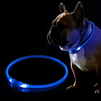 Collar LED KABB azul para perros y gatos – recargable, collar de seguridad ajustable con iluminación