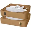Ventilador de caja Thermaltake CT140 EX Reverse ARGB 140mm pack de 3 Gravel Sand