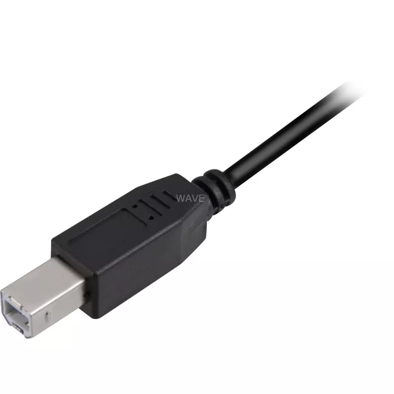 Cable USB 2.0, conector macho USB-A > conector macho USB-B (negro, 3,0 metros)