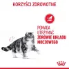 Royal Canin Urinary Care pienso para gatos 4 kg