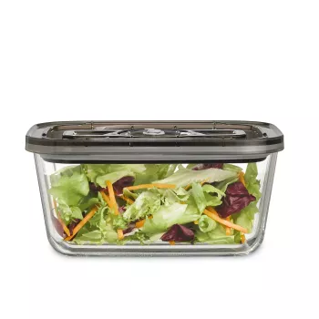 Caso | Recipiente de vacío de vidrio con tapa de plástico | VacuBoxx Eco L | Transparente