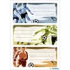 Etiqueta autoadhesiva HERMA fútbol rectangular permanente multicolor 9 uds.