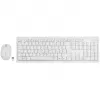 Conjunto inalámbrico de teclado y ratón LogiLink ID0104W