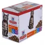 HILL'S Feline Adult Multipack Classic - bolsitas 12x85g