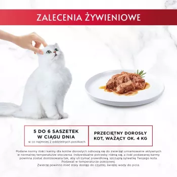 GOURMET Mon Petit Fish Mix - Comida húmeda para gatos - 6 x 50 g