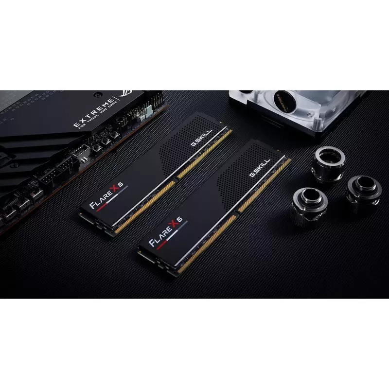 DIMM 48 GB DDR5-6000 (2x 24 GB) Dual-Kit, memoria RAM negra, F5-6000J4048F24GX2-FX5, Flare X5, AMD EXPO