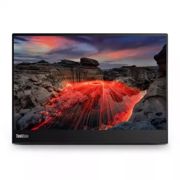 Monitor Lenovo ThinkVision M14t 14