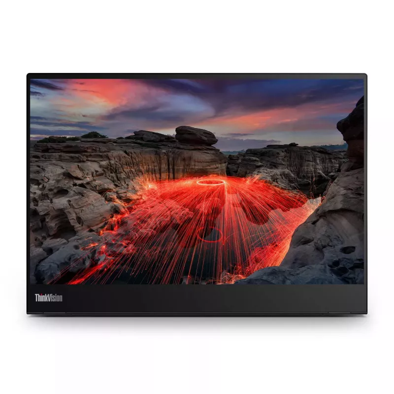Monitor Lenovo ThinkVision M14t 14