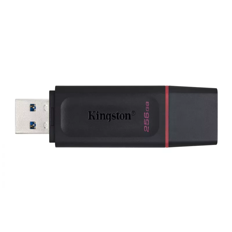 Kingston Technology DataTraveler Exodia – Memoria USB 3.2