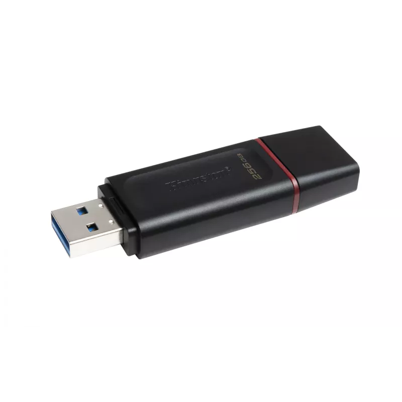 Kingston Technology DataTraveler Exodia – Memoria USB 3.2