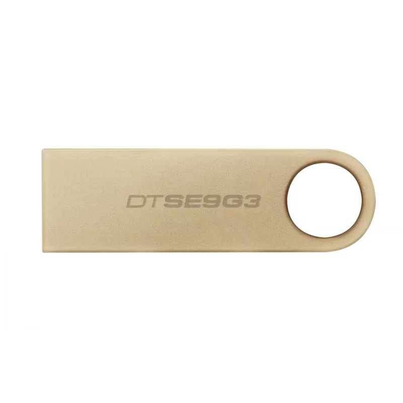 Kingston Technology DataTraveler 256 GB 220 MB/s USB metálico 3.2 Gen 1 SE9 G3