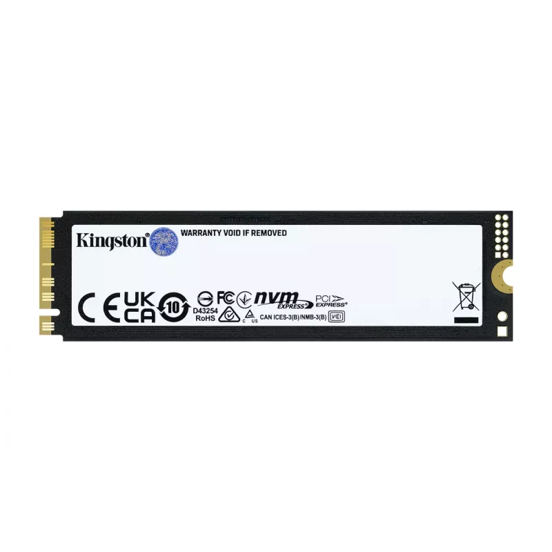 SSD Kingston Technology 1 TB M.2 NVMe FURY RENEGADE G5