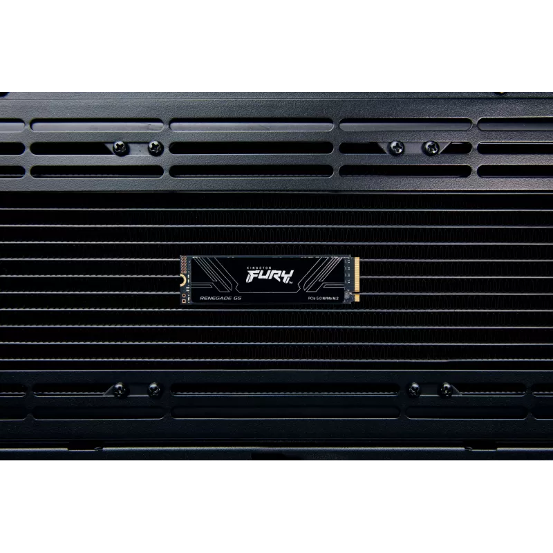 SSD Kingston Technology 1 TB M.2 NVMe FURY RENEGADE G5