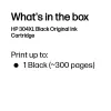 HP 304XL Cartucho de Tinta Original Negro, Negro, 1 ud., 300 páginas