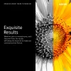 Xerox cartucho de tóner amarillo de capacidad estándar original Phaser® 6020/6022, WorkCentre® 6025/6027 (1000 páginas) - 106R02758