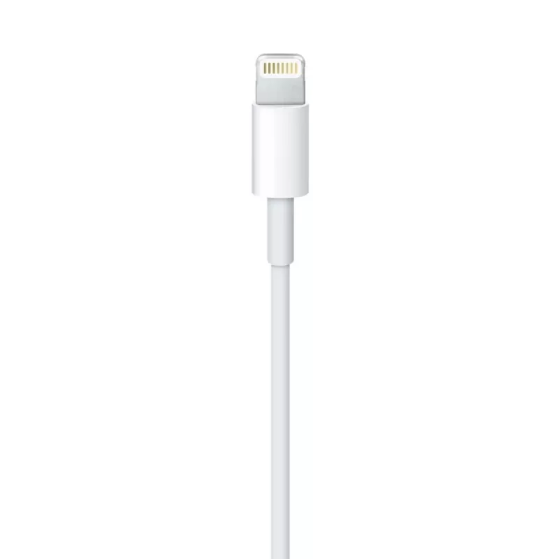 Cable Apple Lightning a USB 2 m MD819ZM/A
