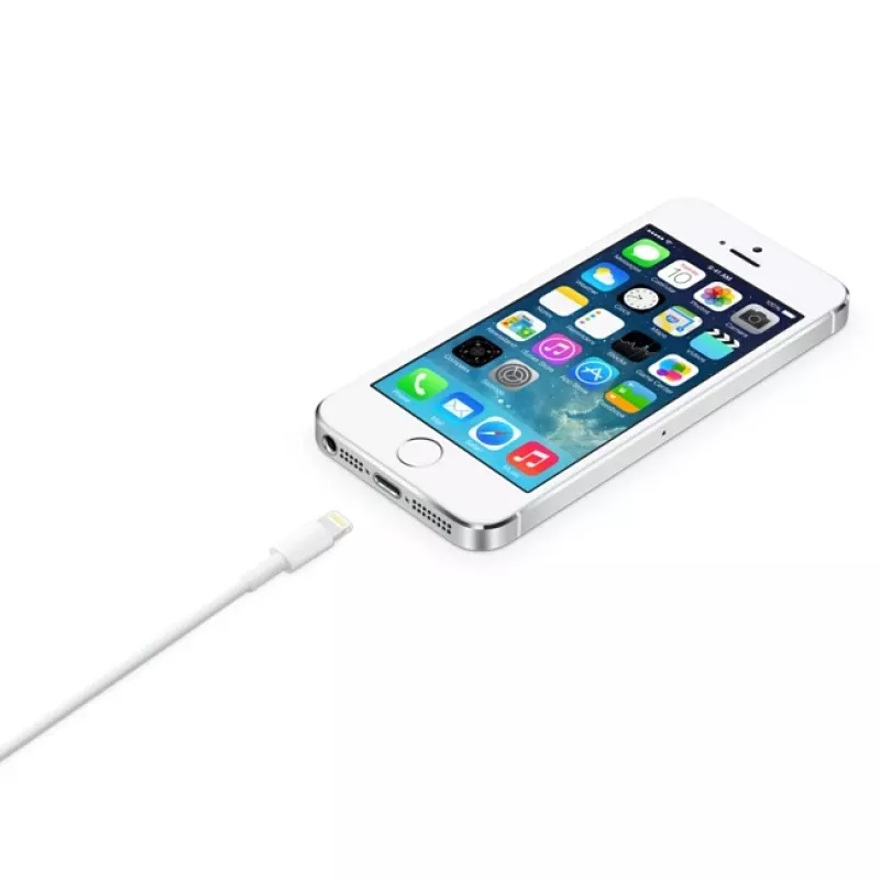 Cable Apple Lightning a USB 2 m MD819ZM/A