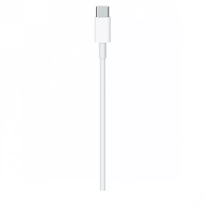 Cable de carga USB-C Apple MLL82ZM/A 2 m