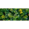Xerox Original ® VersaLink® C400 impresora en color/C405 multifunción en color cartucho de tóner amarillo capacidad estándar (2500 páginas) - 106R03501