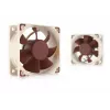 Noctua Ventilador NF-A6x25 PWM 60 mm, 12 V, 550–3000 RPM, 29,2 m³/h, 19,3 dB